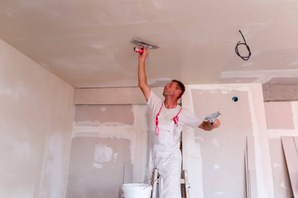 Best Drywall Texturing  in Limestone Creek, FL